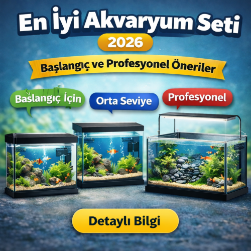 En İyi Akvaryum Seti